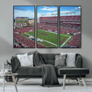 Florida Tampa Raymond James Stadium Wall Art Canvas Print -