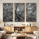 Majestic Angel Oak Tree Black and White Canvas Print – Multi by MyGreatCanvas | Canvas Wall Art Prints | Photo Prints & Wall Decor