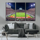 NC State Wolfpack Canvas Print - Raleigh Carter-Finley