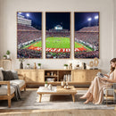 NC State Wolfpack Canvas Print - Raleigh Carter-Finley