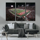 Houston Cougars Football Team Print - Houston TDECU Stadium