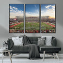 Framed Houston Cougars Football Team Print - Houston TDECU by MyGreatCanvas | Canvas Wall Art Prints | Photo Prints & Wall Decor