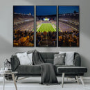 Pittsburgh Panthers Football Team Print - Pittsburgh by MyGreatCanvas | Canvas Wall Art Prints | Photo Prints & Wall Decor