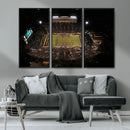 Wake Forest University Demon Deacons Canvas Printi, Football