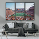 Framed Texas Memorial Stadium Canvas, University of Texas