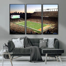 Darrell K Royal-Texas Memorial Stadium Canvas Wall Art -