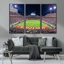 Wolfpack Football Team Print - Raleigh Carter-Finley Stadium
