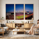 Wolfpack Football Team Wall Art Print - Raleigh