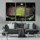 Florida Atlantic University Owls Football Team Print - Boca by MyGreatCanvas | Canvas Wall Art Prints | Photo Prints & Wall Decor