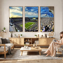 Framed USF Bulls Football Team Print - Tampa Raymond James