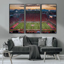 Framed Arizona Wildcats Football Team Print - Tucson Arizona by MyGreatCanvas | Canvas Wall Art Prints | Photo Prints & Wall Decor