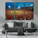 Clemson University Tigers Football Team Print - Clemson