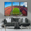 Iowa State University Cyclones Football Team Print - Ames