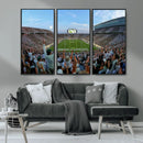Michigan State Spartans Football Team Art Print - East