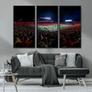 Rutgers Scarlet Knights Football Team Print - SHI Stadium,