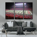 Rutgers University Scarlet Knights Football Team Print -