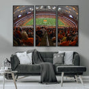 Syracuse University Orange Football Canvas Print, Football
