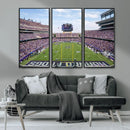 TCU Horned Frogs Football Team Print - Fort Worth Amon G.