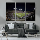 TCU Horned Frogs Football Team Print - Fort Worth Amon G.
