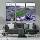 The Texas Christian University TCU Horned Frogs Football