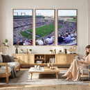 The Texas Christian University TCU Horned Frogs Football