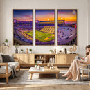 The Louisiana State University Tigers Football Team Print -