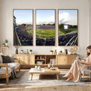 The Duke University Blue Devils Football Team Print - Durham