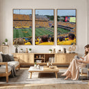 Puskar Stadium Canvas Print Wall Art - Morgantown Print -