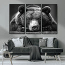 Resting Grizzly 399 Bear Canvas Print | Ready to Hang Wall