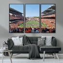 Oregon State Beavers Football Team Print - Corvallis Reser by MyGreatCanvas | Canvas Wall Art Prints | Photo Prints & Wall Decor