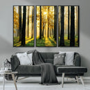 Sunlit Forest Wall Art Canvas Print – Large Framed Woodland