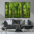 Lush Green Forest Canvas Print | 3-Panel Forest Wall Art |