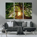 Majestic Ancient Tree Wall Art, NatureCanvas Print, Woodland by MyGreatCanvas | Canvas Wall Art Prints | Photo Prints & Wall Decor