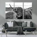 Longhorn Steer Canvas Print Wall Art, Highland Cow Canvas by MyGreatCanvas | Canvas Wall Art Prints | Photo Prints & Wall Decor