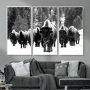 Bison Herd in Snow Wall Art Canvas Print | Rustic Western