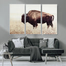 Bison in Field Wall Art Canvas Print For Farmhouse Barn