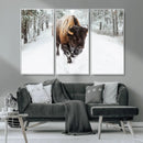Bison Wall Art Canvas Print For Farmhouse, Animal Canvas