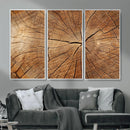 Tree Ring Canvas Art, Rustic Wood Grain Wall Art, Tree Slice