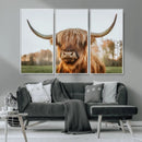 Highland Cow Animal Scottish Cattle Art Print Farmhouse Wall