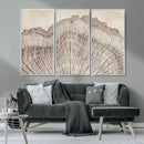 Tree Ring Wall Art Triptych, Rustic Wood Ring Canvas Print,
