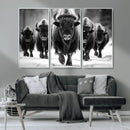 American Bison Art | Buffalo Herd Wall Art Canvas Print, BW