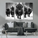 American Bison Art | Buffalo Herd Wall Art Canvas Print, BW