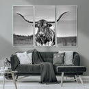 Texas Longhorn Cow Wall Art, Texas Longhorn Canvas, Cattle
