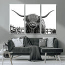 Longhorn Canvas Print, Bighorn Cow Wall Art Canvas Print