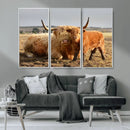 Highland Cow Canvas Wall Art Animal Print for Farm House