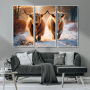 Scottish Highland Cow Horn Farm Wall Art Canvas Print
