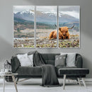 Highland Cow Horn Farm Wall Art Canvas Print