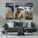 Charming Sheep Portrait Wall Art – Trio of Woolly Companions by MyGreatCanvas | Canvas Wall Art Prints | Photo Prints & Wall Decor