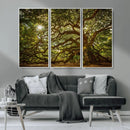Ancient Angel Oak Tree Art Sunburst Canvas Print-