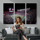Ben Hill Griffin Stadium Night Game Triple Canvas Wall Art -